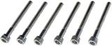 Wheel Hub Screw