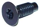 Windshield Hinge Screw